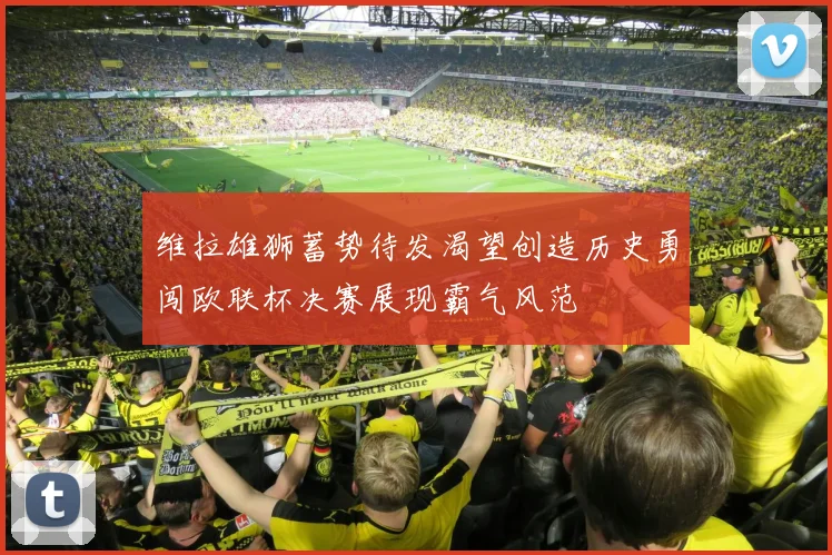 维拉雄狮蓄势待发渴望创造历史勇闯欧联杯决赛展现霸气风范